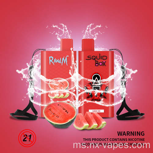 Randm Squid Box Vape